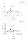 Fig. 06 - Treatment Method For Lung Remodeling Diseases