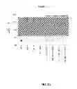Fig. 07 - Treatment Method For Lung Remodeling Diseases