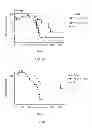 Fig. 09 - Treatment Method For Lung Remodeling Diseases