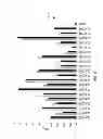 Fig. 06 - Antibody to human IL-1 beta