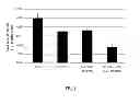 Fig. 02 - Composition comprising inhibitors of IRS-1 and of VEGF