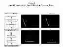 Fig. 03 - Methods and compositions for wound treatment