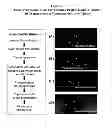 Fig. 05 - Methods and compositions for wound treatment