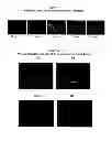 Fig. 08 - Methods and compositions for wound treatment