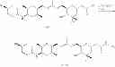 Fig. 149 - Spliceostatin analogs and methods for their preparation