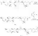Fig. 65 - Spliceostatin analogs and methods for their preparation