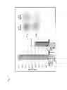 Fig. 18 - RECOMBINANT VACCINES AND USE THEREOF