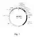 Fig. 02 - Multi plasmid system for the production of influenza virus