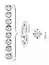 Fig. 05 - Multi plasmid system for the production of influenza virus