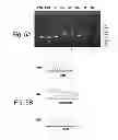 Fig. 06 - Multi plasmid system for the production of influenza virus