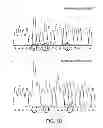 Fig. 08 - Multi plasmid system for the production of influenza virus