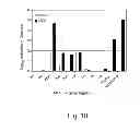 Fig. 44 - Multi plasmid system for the production of influenza virus