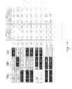 Fig. 48 - Multi plasmid system for the production of influenza virus