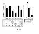 Fig. 56 - Multi plasmid system for the production of influenza virus