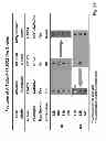 Fig. 64 - Multi plasmid system for the production of influenza virus