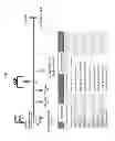 Fig. 03 - Composition containing antibiotics and lysophosphatidylcholine for boosting immunity or treatment of bacterial infections