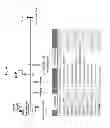 Fig. 05 - Composition containing antibiotics and lysophosphatidylcholine for boosting immunity or treatment of bacterial infections