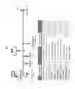 Fig. 06 - Composition containing antibiotics and lysophosphatidylcholine for boosting immunity or treatment of bacterial infections