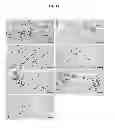 Fig. 12 - Composition containing antibiotics and lysophosphatidylcholine for boosting immunity or treatment of bacterial infections