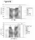 Fig. 03 - Formulations and methods for recovery from dental surgery