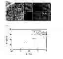 Fig. 04 - IRON OXIDE RED PIGMENT