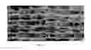 Fig. 07 - Compositions and methods for inhibiting bone growth