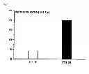 Fig. 02 - TRANSDERMAL THERAPEUTIC SYSTEM
