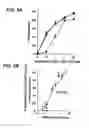 Fig. 04 - Suppressors of CpG oligonucleotides and methods of use