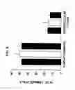 Fig. 09 - Suppressors of CpG oligonucleotides and methods of use