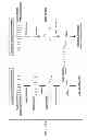 Fig. 05 - Individualized cancer therapy