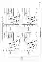 Fig. 24 - Individualized cancer therapy