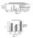 Fig. 25 - Individualized cancer therapy