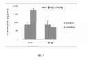 Fig. 06 - RAPID DISSOLVE TABLET COMPOSITIONS FOR VAGINAL ADMINISTRATION