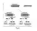 Fig. 04 - BIOLOGIC REPLACEMENT FOR FIBRIN CLOT