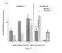 Fig. 07 - BIOLOGIC REPLACEMENT FOR FIBRIN CLOT