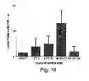 Fig. 12 - BIOLOGIC REPLACEMENT FOR FIBRIN CLOT