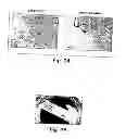 Fig. 19 - BIOLOGIC REPLACEMENT FOR FIBRIN CLOT