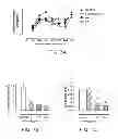 Fig. 07 - PHARMACEUTICAL FORMULATIONS AND METHODS FOR TREATING RESPIRATORY TRACT INFECTIONS