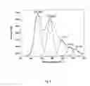 Fig. 09 - Implants for “load bearing” bone substitutions having hierarchical organized architecture deriving from transformation of vegetal structures