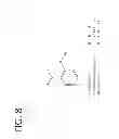 Fig. 09 - Pharmaceutical Compositions Comprising Capsaicin Esters for Treating Pain and Cold Sores