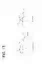 Fig. 14 - Pharmaceutical Compositions Comprising Capsaicin Esters for Treating Pain and Cold Sores