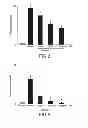 Fig. 03 - Use of microvesicles (MVs) derived from stem cells for preparing a medicament for endo/epithelial regeneration of damaged or injured tissues or organs, and related to in vitro or in vivo methods