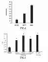 Fig. 04 - Use of microvesicles (MVs) derived from stem cells for preparing a medicament for endo/epithelial regeneration of damaged or injured tissues or organs, and related to in vitro or in vivo methods