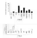 Fig. 06 - Use of microvesicles (MVs) derived from stem cells for preparing a medicament for endo/epithelial regeneration of damaged or injured tissues or organs, and related to in vitro or in vivo methods