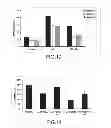 Fig. 07 - Use of microvesicles (MVs) derived from stem cells for preparing a medicament for endo/epithelial regeneration of damaged or injured tissues or organs, and related to in vitro or in vivo methods