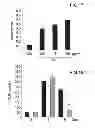 Fig. 10 - Use of microvesicles (MVs) derived from stem cells for preparing a medicament for endo/epithelial regeneration of damaged or injured tissues or organs, and related to in vitro or in vivo methods