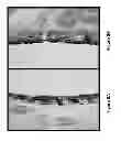 Fig. 09 - Methods of enhancing wound healing using magnesium and bromide