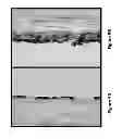 Fig. 10 - Methods of enhancing wound healing using magnesium and bromide