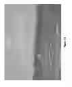 Fig. 22 - Methods of enhancing wound healing using magnesium and bromide