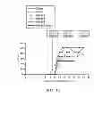 Fig. 15 - Extracts of sp. and active ingredients contained therein in use of arthritis treatment